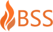 BSS