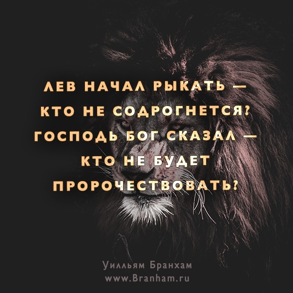 Картинка цитаты