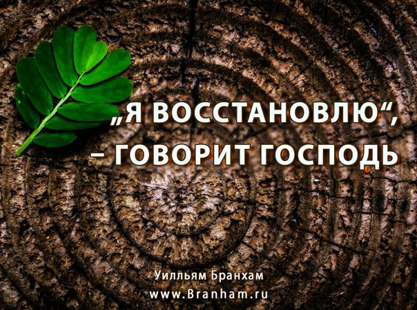 Картинка цитаты