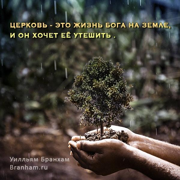 Картинка цитаты